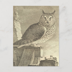 Gruselige Vintage Langohreule Halloween-Postkarte Postkarte