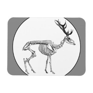 Gruselige Vintage-Skelett-Rentier-Zeichnung Magnet
