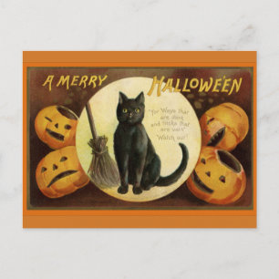 Gruseliges Halloween: schwarze Katze und ausgehöhl Postkarte