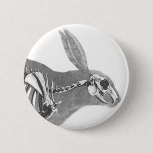Gruseliges vintage Kaninchenskelett Button