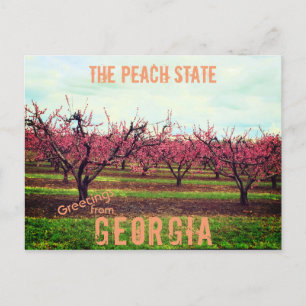 Gruß aus Georgia Peach Orchard Postkarte