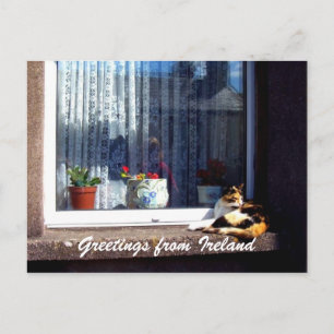 Gruß aus Irland Postkarte