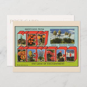 Gruß aus New Mexico Postcard Postkarte