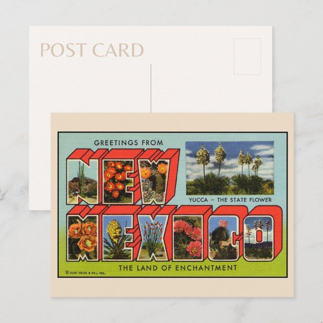 Gruß aus New Mexico Postcard Postkarte (Vorne/Hinten)