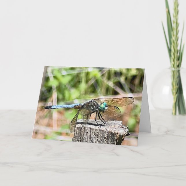 Gruß der Blauen Libelle Karte (Vorderseite)