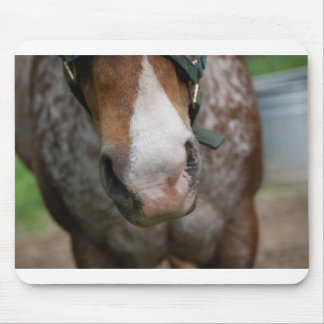 Grüß dich! mousepad