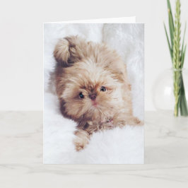 Gruß-Geburtstagskarte Shih Tzu Leber des Pennys Karte