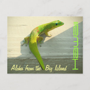 Gruß-Gecko-Postkarte Postkarte