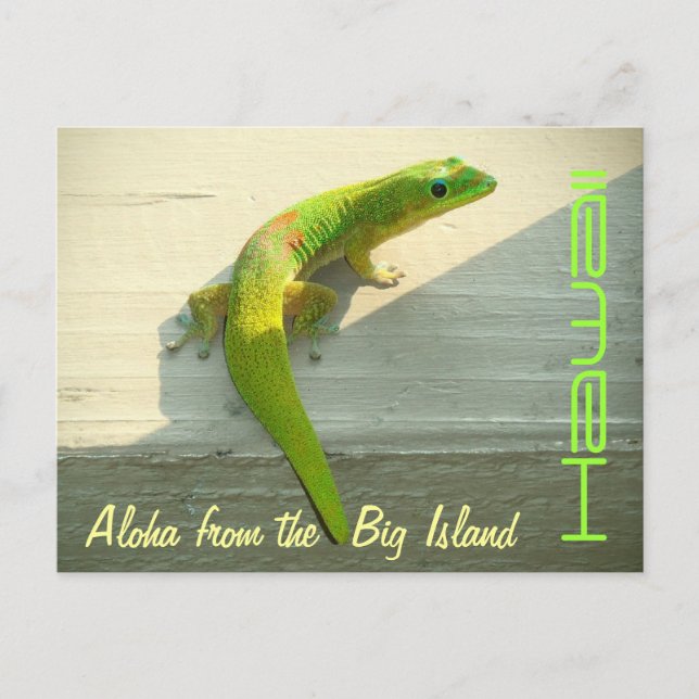 Gruß-Gecko-Postkarte Postkarte (Vorderseite)