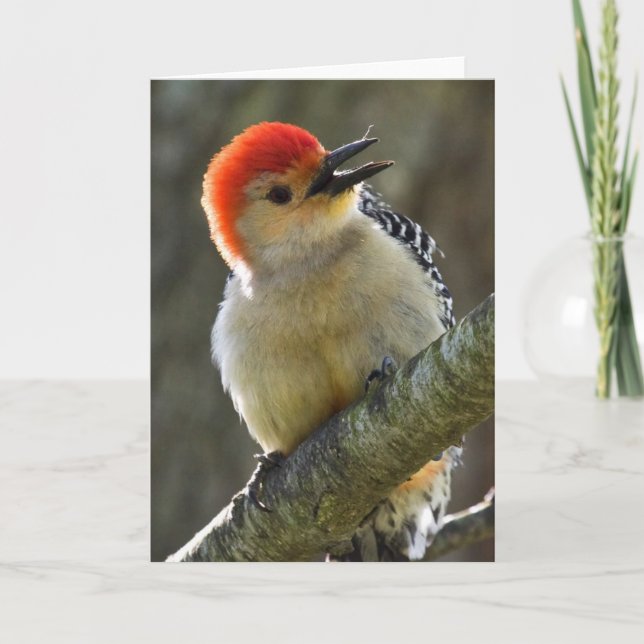 Gruß Karte (Vorderseite)