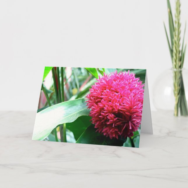 Gruß Karte (Vorderseite)