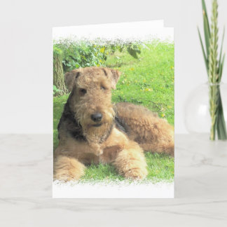 Gruß-Karte Airedales Terrier Karte