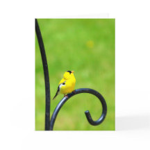 Gruß-Karte oben schauen