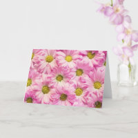 Gruß-Karte - rosa Gerbera-Gänseblümchen