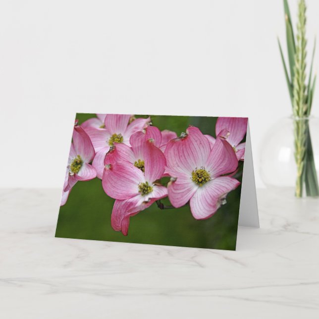 Gruß-Karte:  Rosa Hartriegel Karte (Vorderseite)
