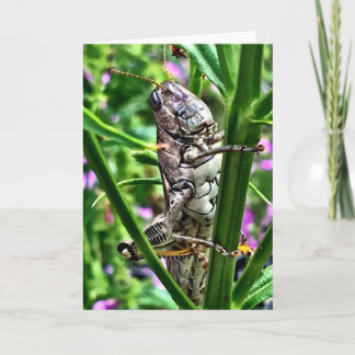 Gruß-Karte von der Lil Monster-Sammlung Karte