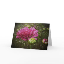 Gruß-Karte wieder anfangen