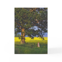 GRUSS-KARTEN-   NORDheld VERMONT