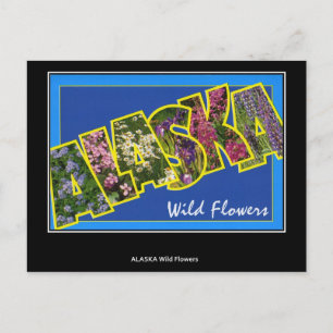 Gruß von Alaska Vintag Postcard Postkarte