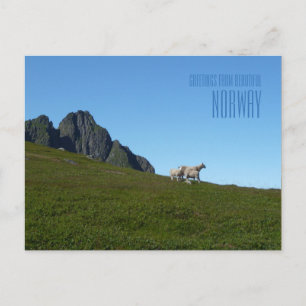Gruß von der schönen norwegischen Fotokarte Postkarte