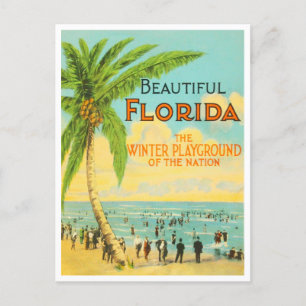 Gruß von Florida Vintage Travel Postcard Postkarte