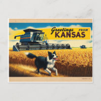 Gruß von Kansas Wheat Combine Border Collie