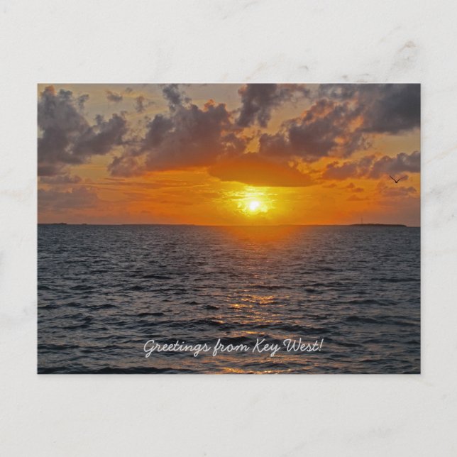 Gruß von Key West Postkarte (Vorderseite)