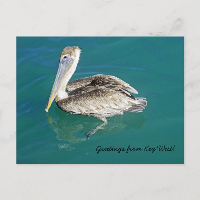 Gruß von Key West Postkarte (Vorderseite)