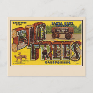 Gruß von Santa Cruz Große Briefkarte Postkarte