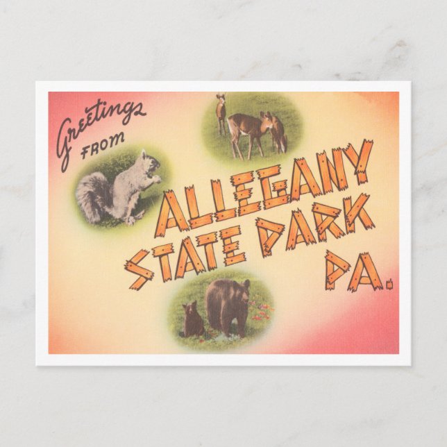 Grüße aus Allegany Staat Park, Pennsylvania Postkarte (Vorderseite)