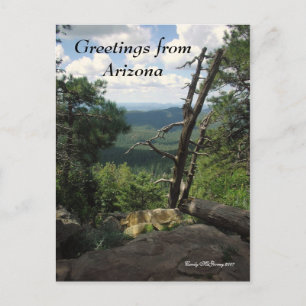 Grüße aus Arizona Postkarte