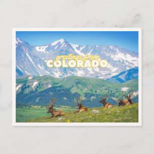 Grüße aus Colorado Mountain Scene Foto Postkarte