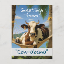 Grüße aus "Cow-abana" Urlaub