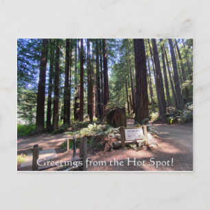 Grüße aus dem Hot Spot! Postkarte