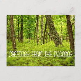 Grüße aus dem Poconos Summer Woods Postkarte