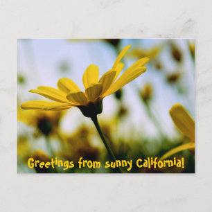 Grüße aus dem sonnigen Kalifornien! Postkarte