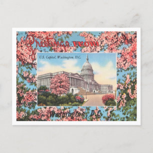 Grüße aus dem U. S. Capitol, Washington, D. C. Postkarte
