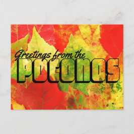 Grüße aus den farbenfrohen Poconos-Blätter Postkarte