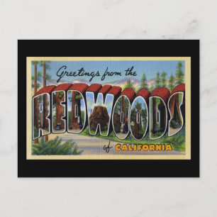 Grüße aus den Redwoods of California Postkarte