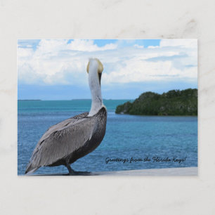 Grüße aus der Postkarte der Florida Keys