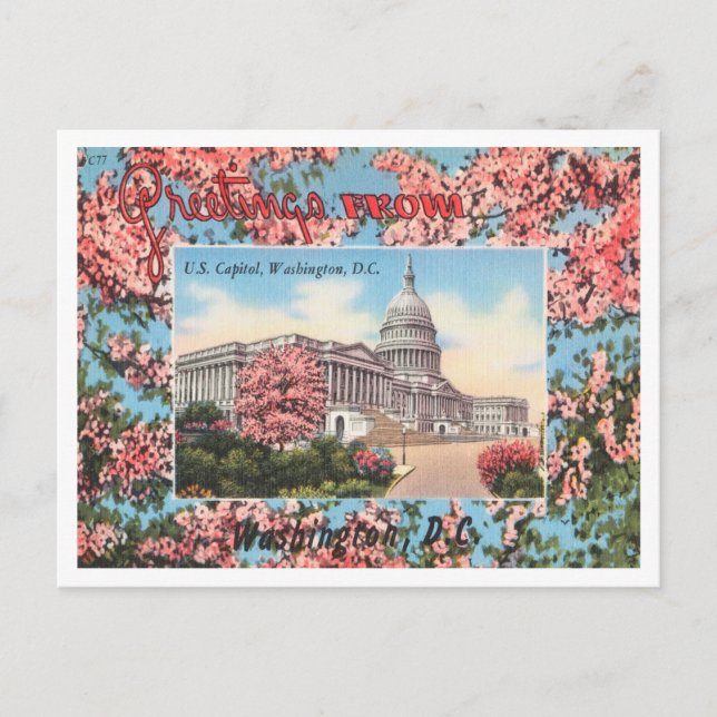 Grüße aus der US-Hauptstadt, Washington, D.C. Postkarte (Vorderseite)