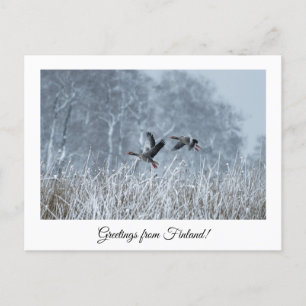 Grüße aus Finnland Natur Souvenir Postkarte