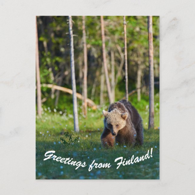 Grüße aus Finnland Postkarte (Vorderseite)