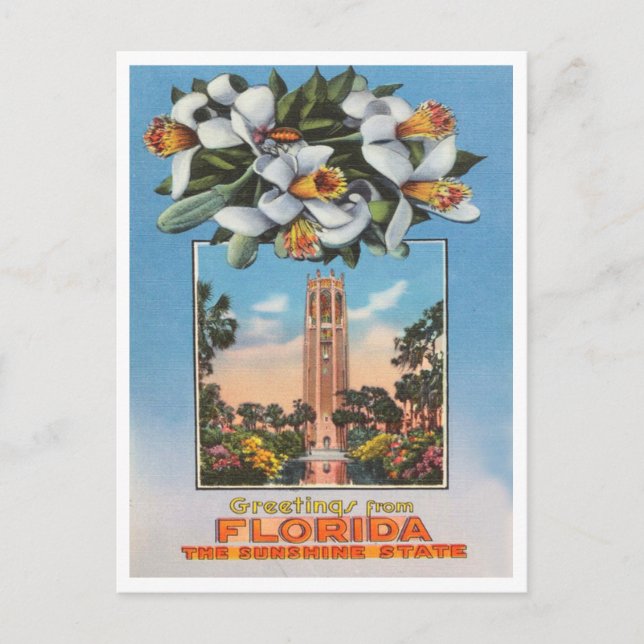 Grüße aus Florida, dem Sunshine Staat Travel Postkarte (Vorderseite)