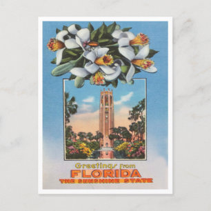 Grüße aus Florida, dem Sunshine State Travel Postkarte