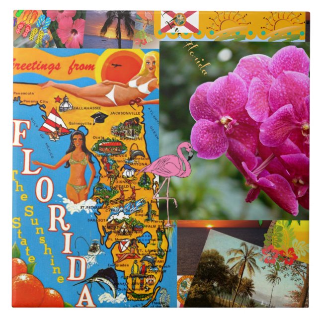 Grüße aus Florida Fliese (Vorderseite)
