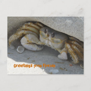 Grüße aus Florida Grußenkarte Postkarte