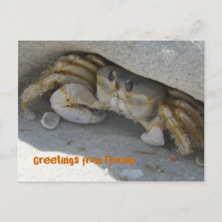 Grüße aus Florida Grußenkarte Postkarte