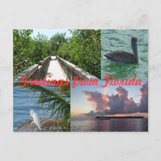 Grüße aus Florida Grußenkarte Postkarte