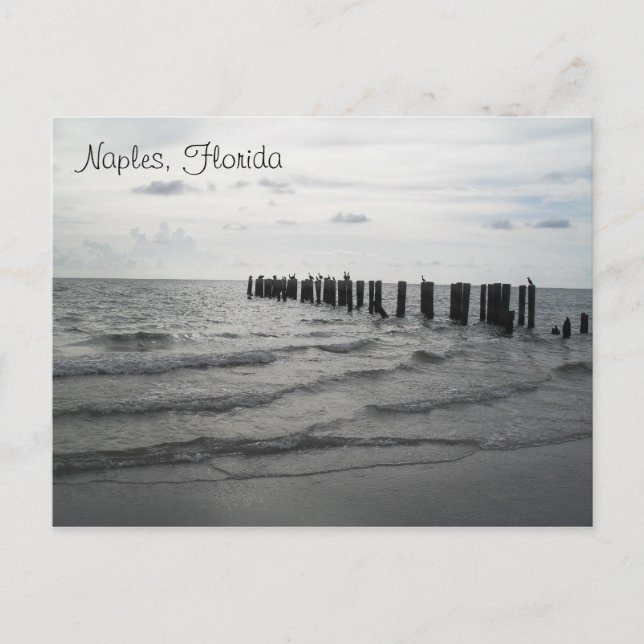 Grüße aus Florida Grußkarte Postkarte (Vorderseite)